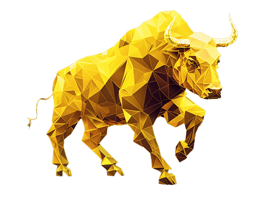 bulls